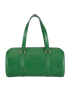 Papillon, front view